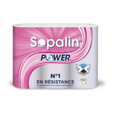 Sopalin Essuie tout power, 3 sopalins