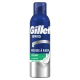 Gillette Mousse à Raser Peau Sensible Pour Homme Apaisant Aloe Vera, 250ml
