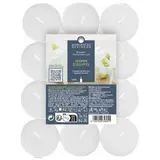 Ambiances Devineau Bougies chauffe-plats Jasmin d'Egypte, 24 bougies
