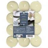 Ambiances Devineau Bougies chauffe-plats Vanille de Madagascar, 24 bougies