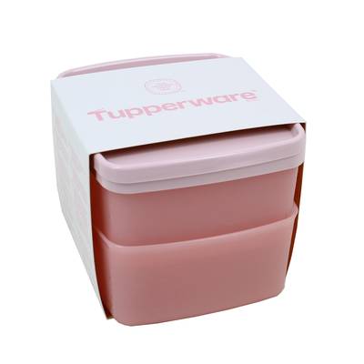 Tupperware Boîte grand froid, 2 pièces