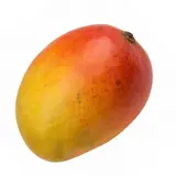 Mangue