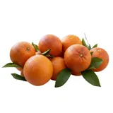 Oranges Maltaise Vrac