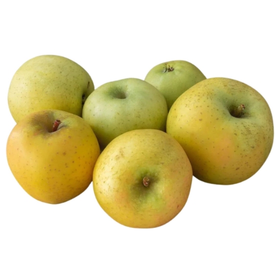 Pomme Chantecler