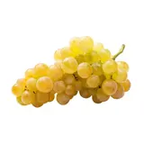 Raisin Chasselas vrac AOC