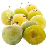 Prunes Reine Claude Bio