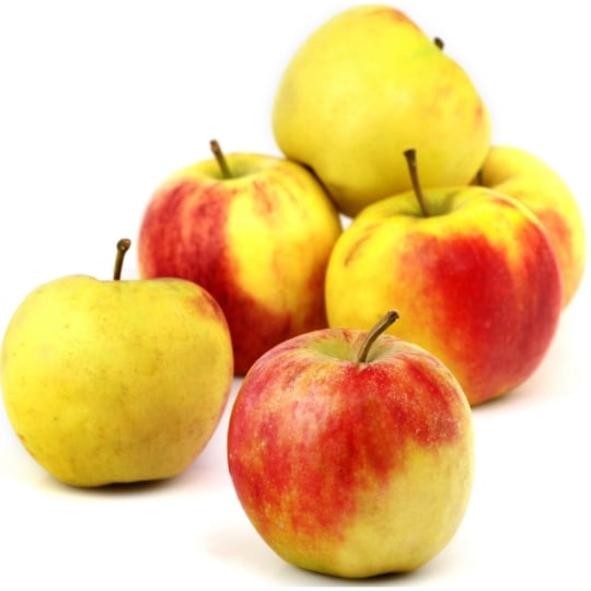 Pommes Elstar