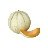 Melon baby CEE