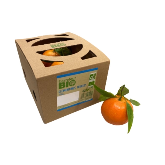 Clémentines CARREFOUR BIO
