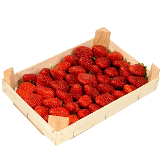 Fraises Gariguettes