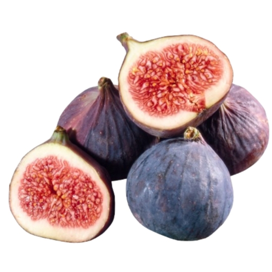 Figues Noires Violettes