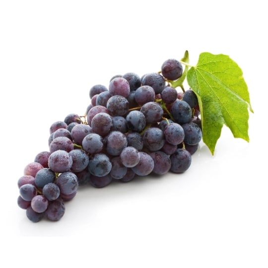 Raisin noir cardinal bio
