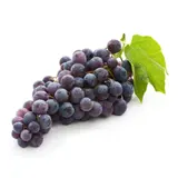 Raisin noir cardinal bio
