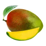 Mangue décollée bio issue du Commerce Equitable