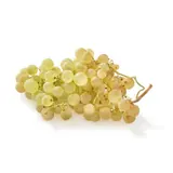Raisin Chasselas Bio