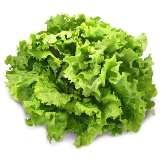 Salade Batavia