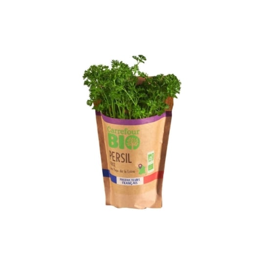 Persil frisé en pot Bio