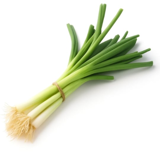 Oignon Cébette