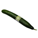 Concombre Bio