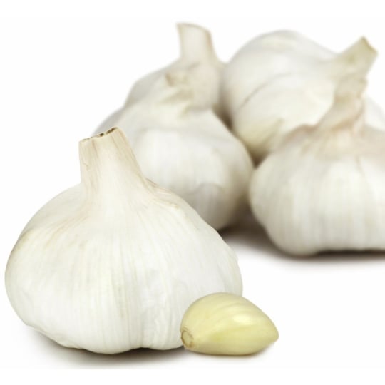 Ail blanc