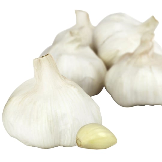 Ail blanc