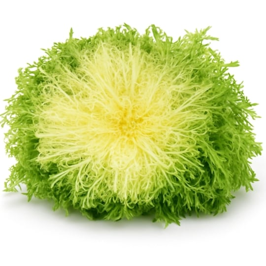 Salade Frisée Fine