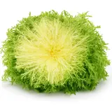 Salade Frisée Fine