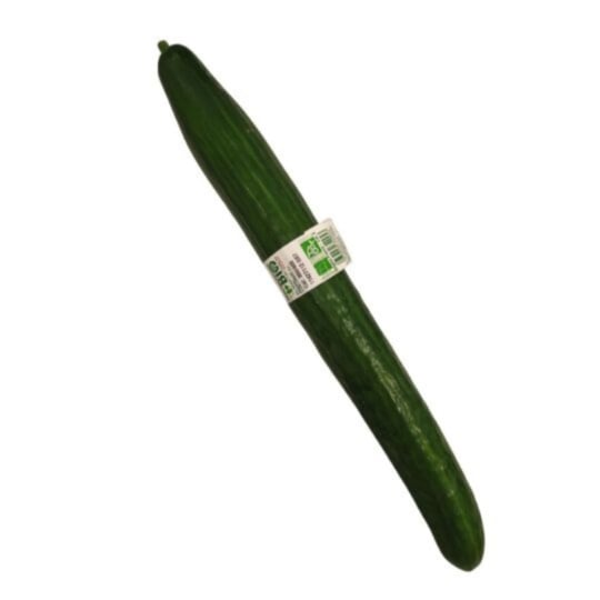 Concombre Bio