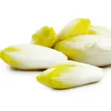 Endives Jeunes Pousses