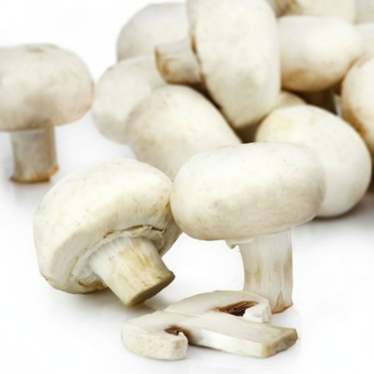 Champignons Pied de Mouton