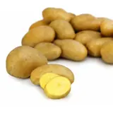 Pommes de terre Purée Potage Four