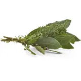 Herbes Thym et Laurier