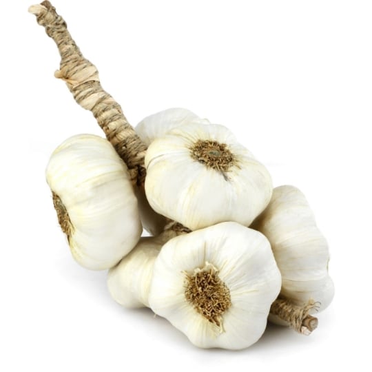 Ail blanc grappe