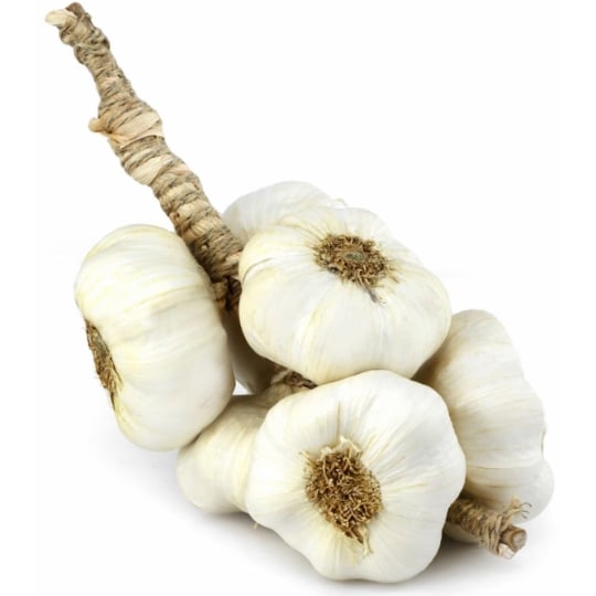 Ail blanc grappe