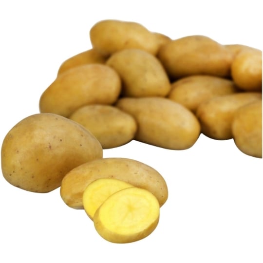 Pomme de terre primeur Délicatesse