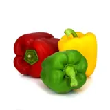 Sachet de Poivrons Tricolores