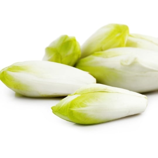 Endives blanches  REFLETS DE FRANCE