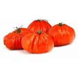 Tomates allongées coeur vrac