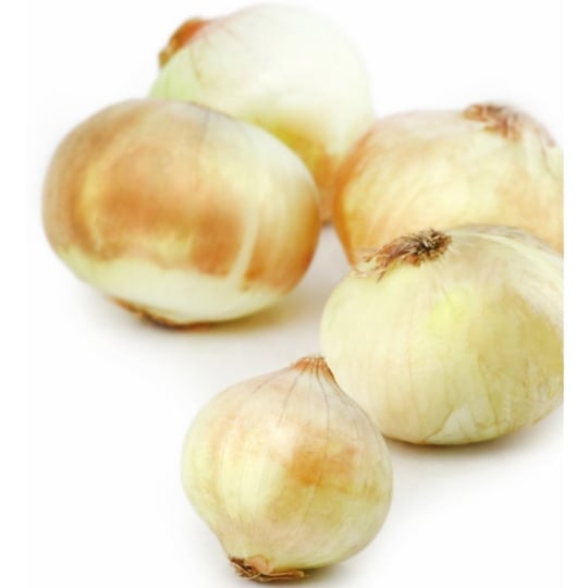 Oignons doux des Cévennes