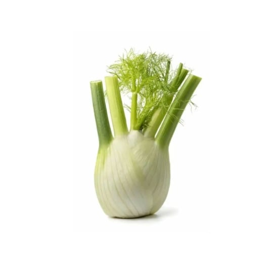 Fenouil Bio