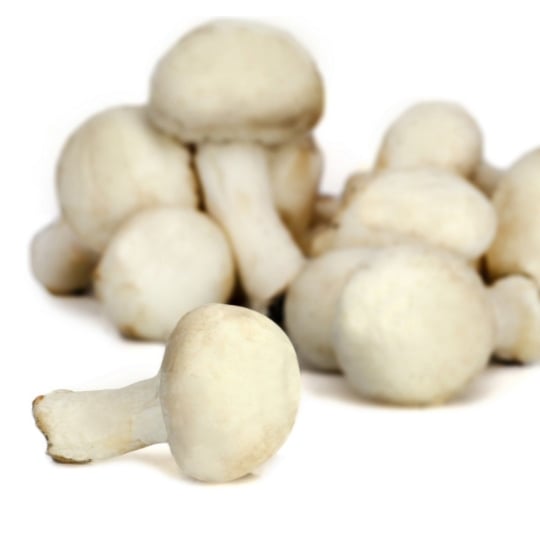 Champignons blancs Bio