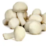 Champignons blancs Bio