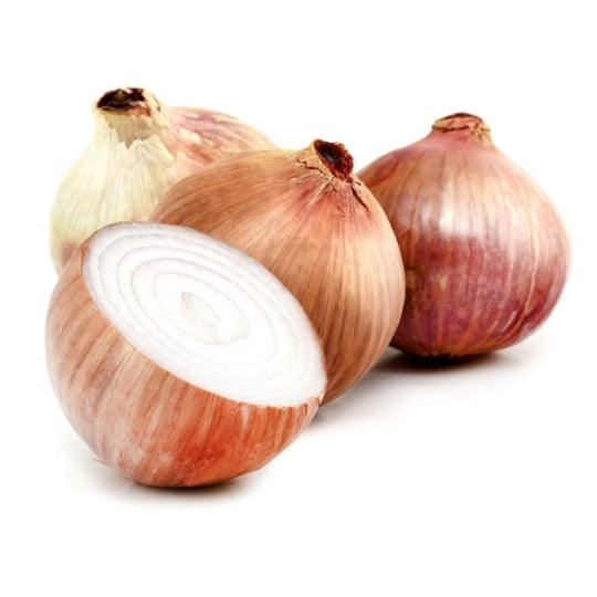 Oignons de Roscoff agroécologie REFLETS DE FRANCE