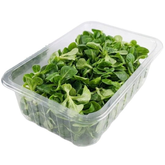 Salade Mâche CARREFOUR