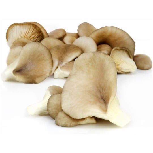 Champignons Pleurote