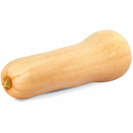 Butternut Bio CARREFOUR BIO