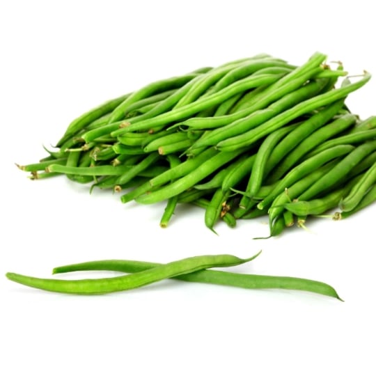 Haricots verts fins