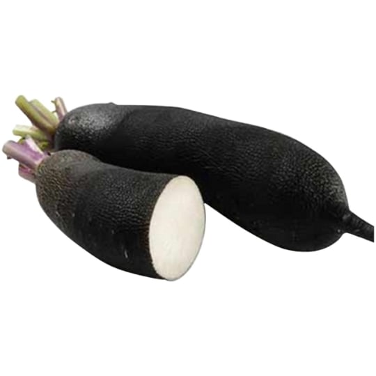 Radis Bio noir