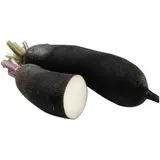 Radis Bio noir