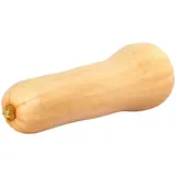 Butternut Agroécologique FILIERE QUALITE CARREFOUR